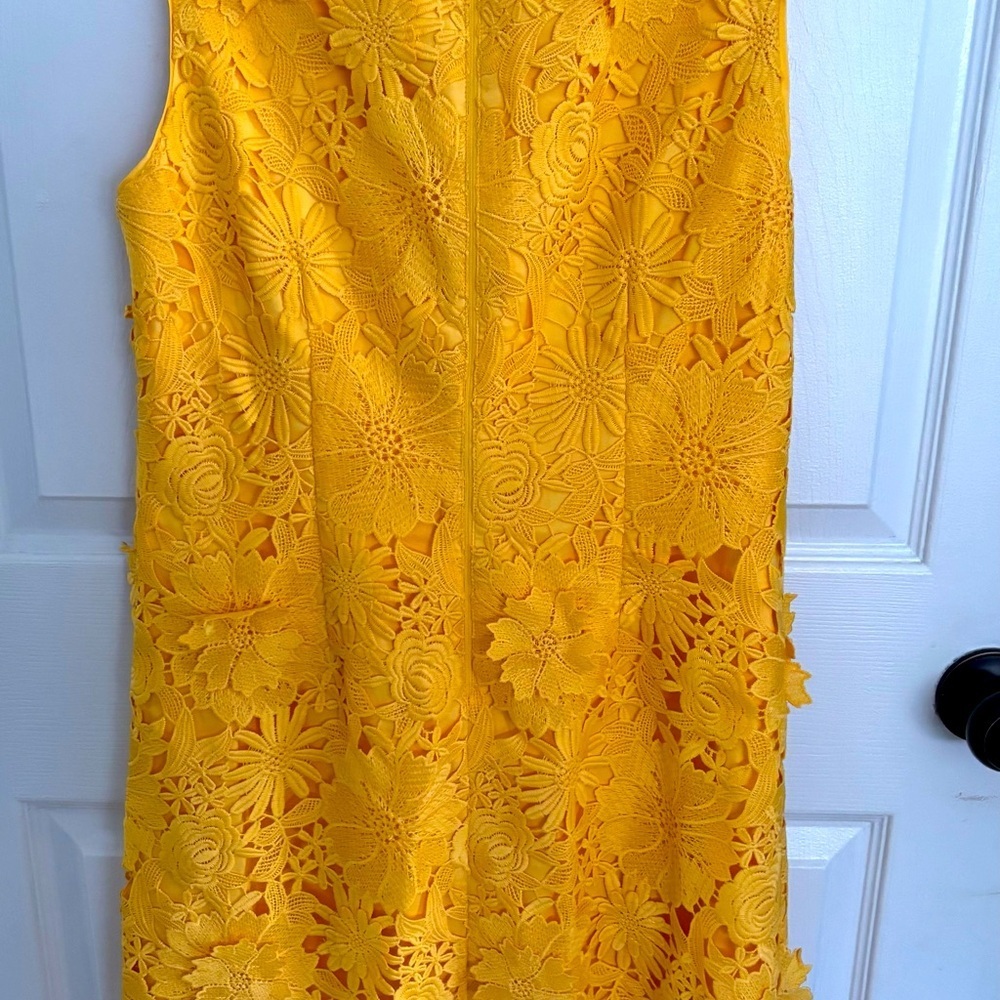 NWT WHBM Lace shift dress 6 Spring Easter Parade Lace Boho HAPPY Chic Bohemian - Picture 8 of 10